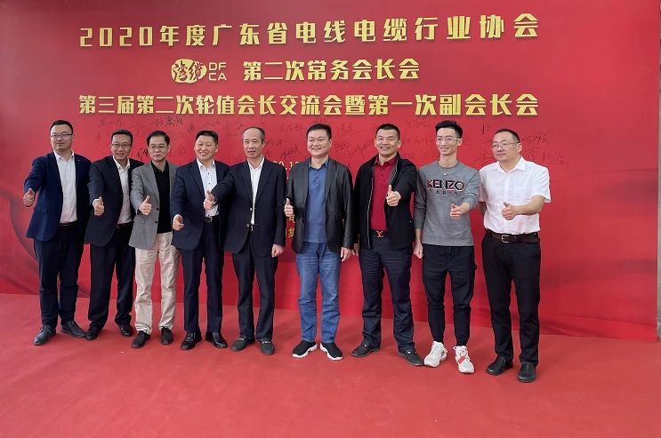 新澳金龙资料大全