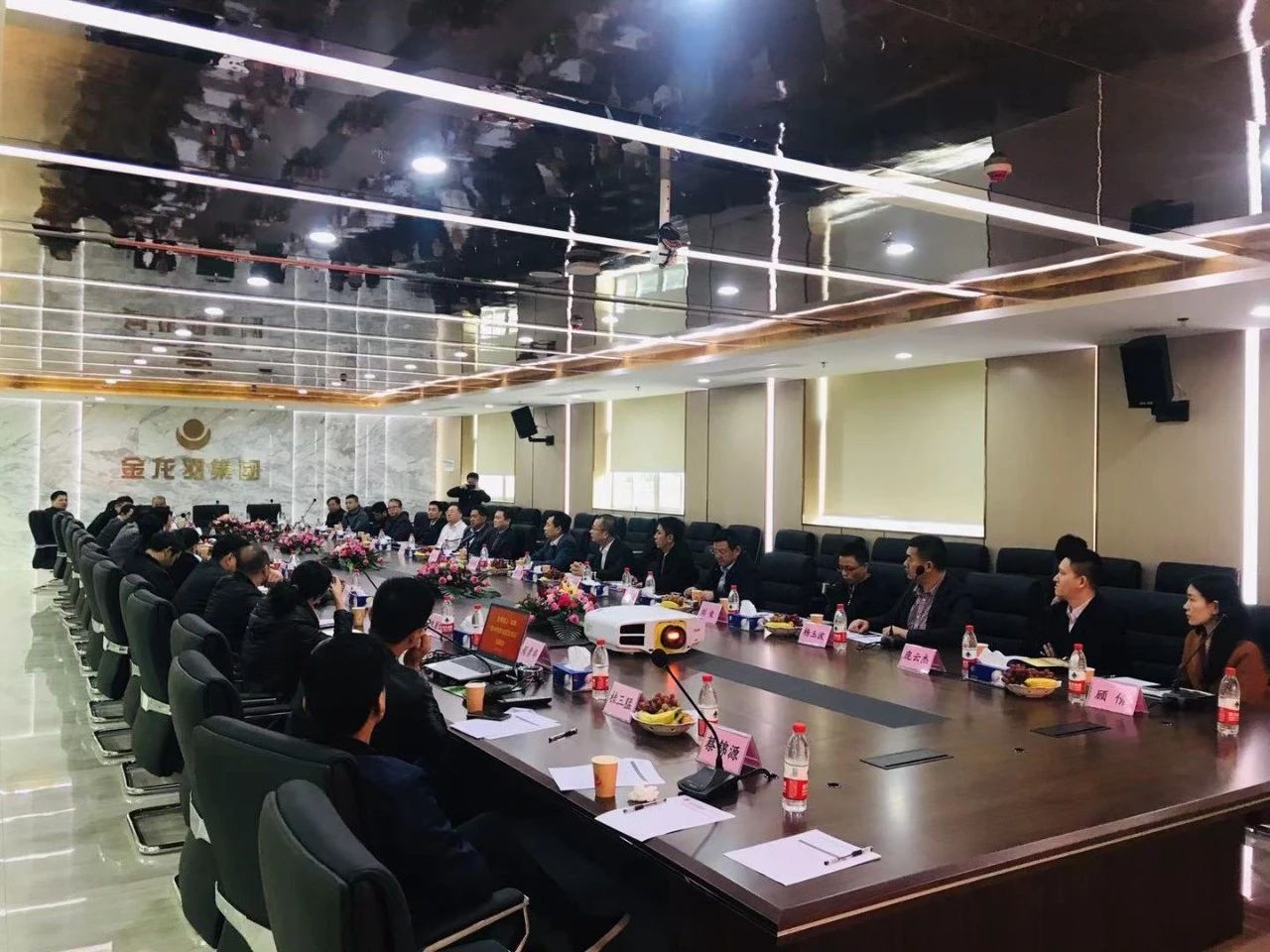 新澳金龙资料大全