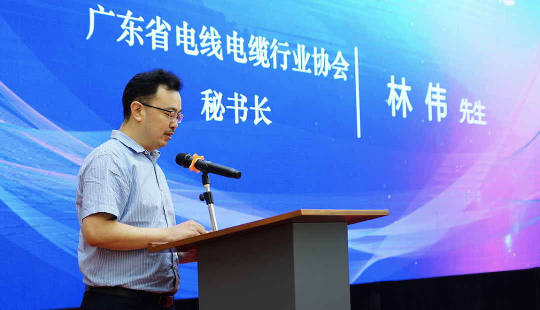 新澳金龙资料大全