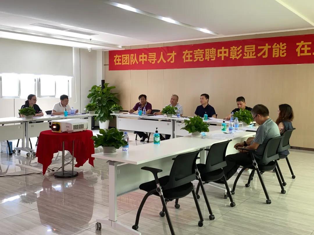 新澳金龙资料大全