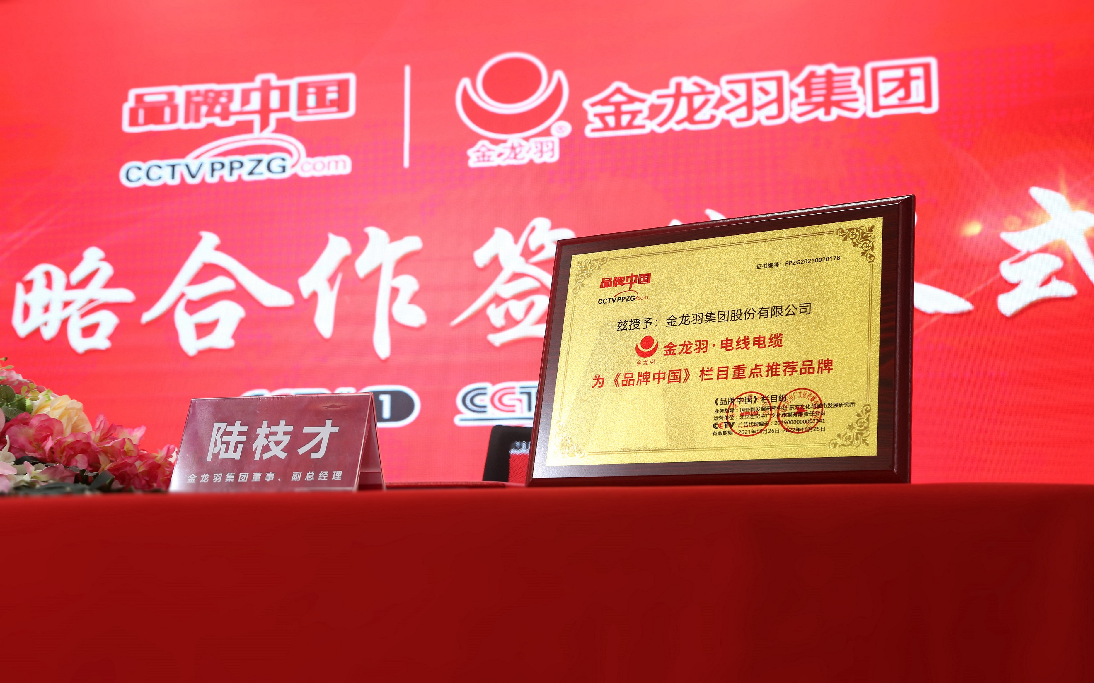 金龙羽和《品牌中国》签约仪式顺利举行