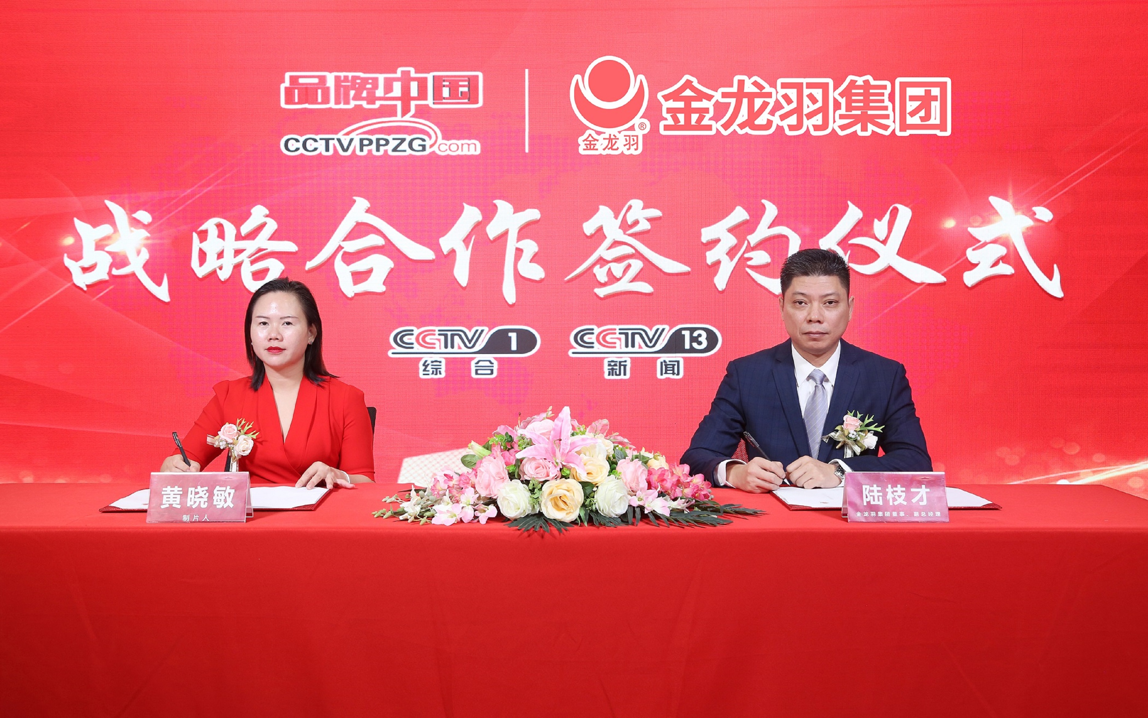 新澳金龙资料大全