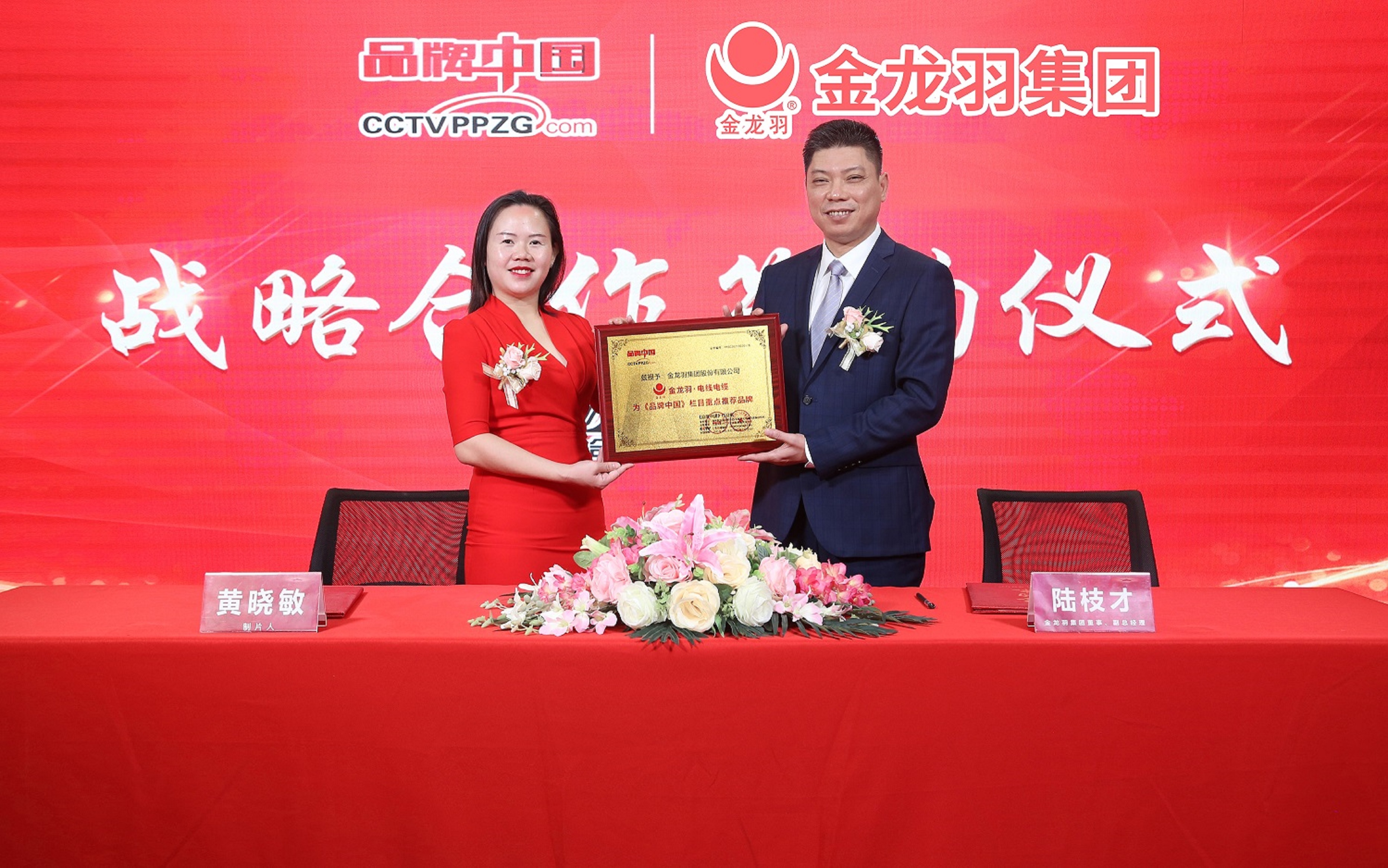 新澳金龙资料大全