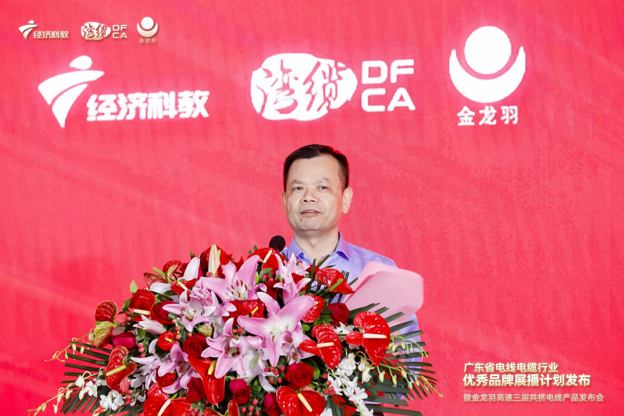 新澳金龙资料大全