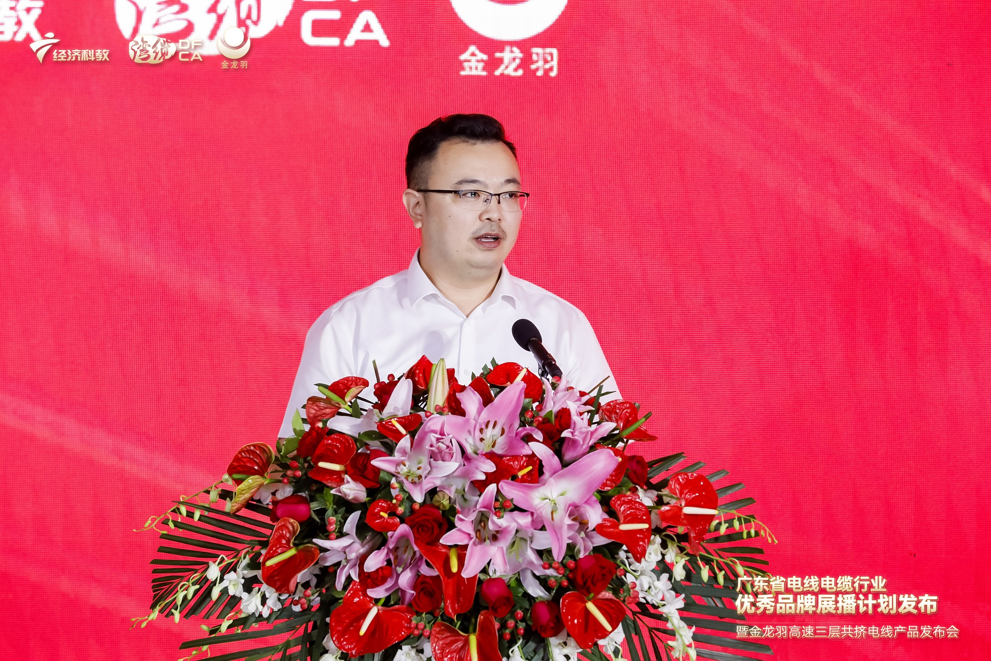 新澳金龙资料大全