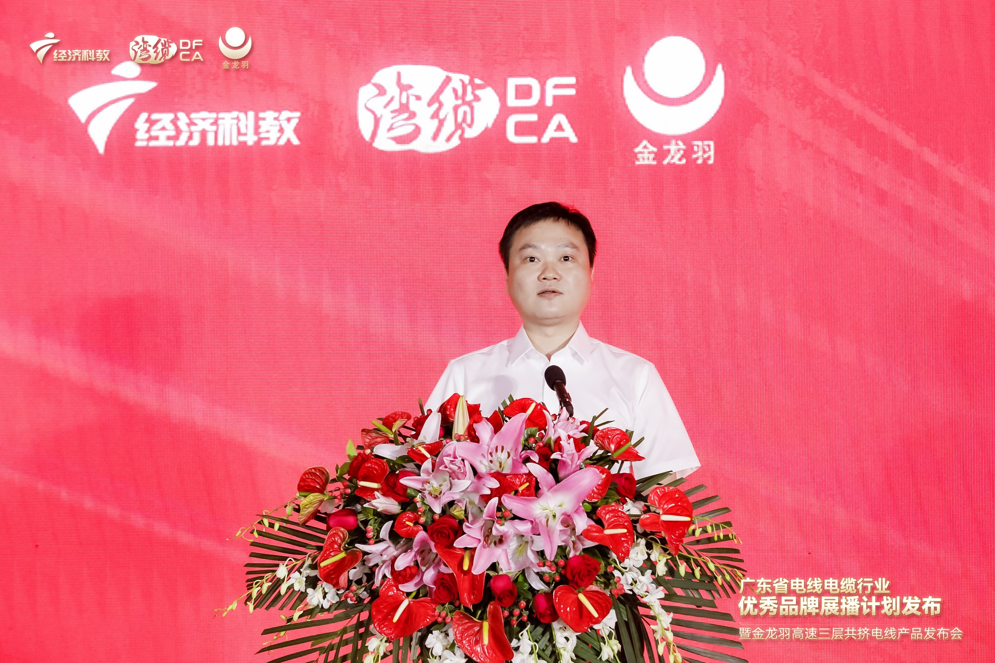 新澳金龙资料大全