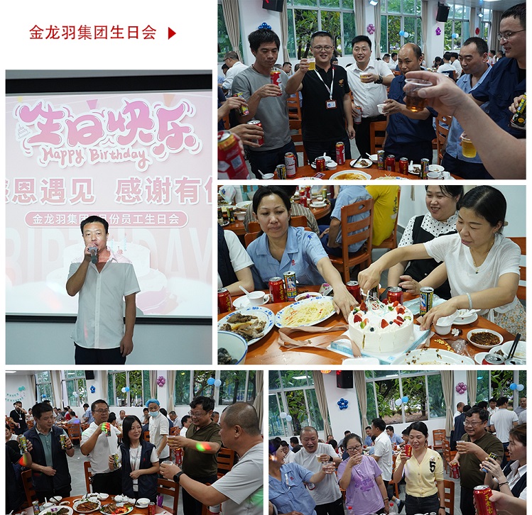 新澳金龙资料大全