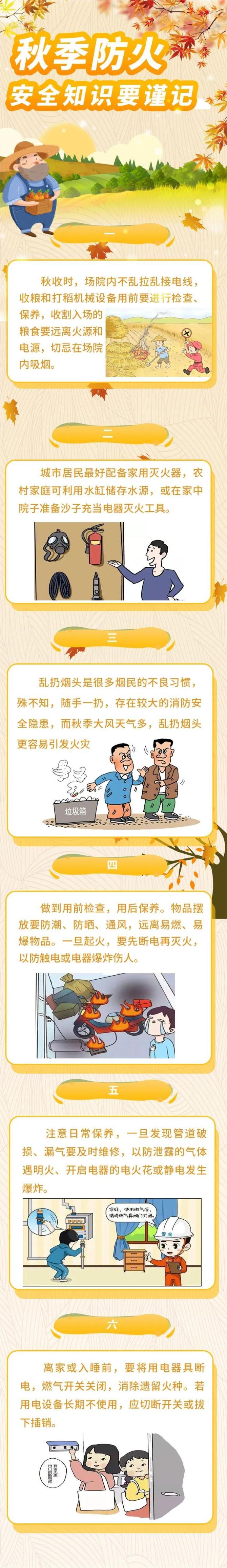 新澳金龙资料大全