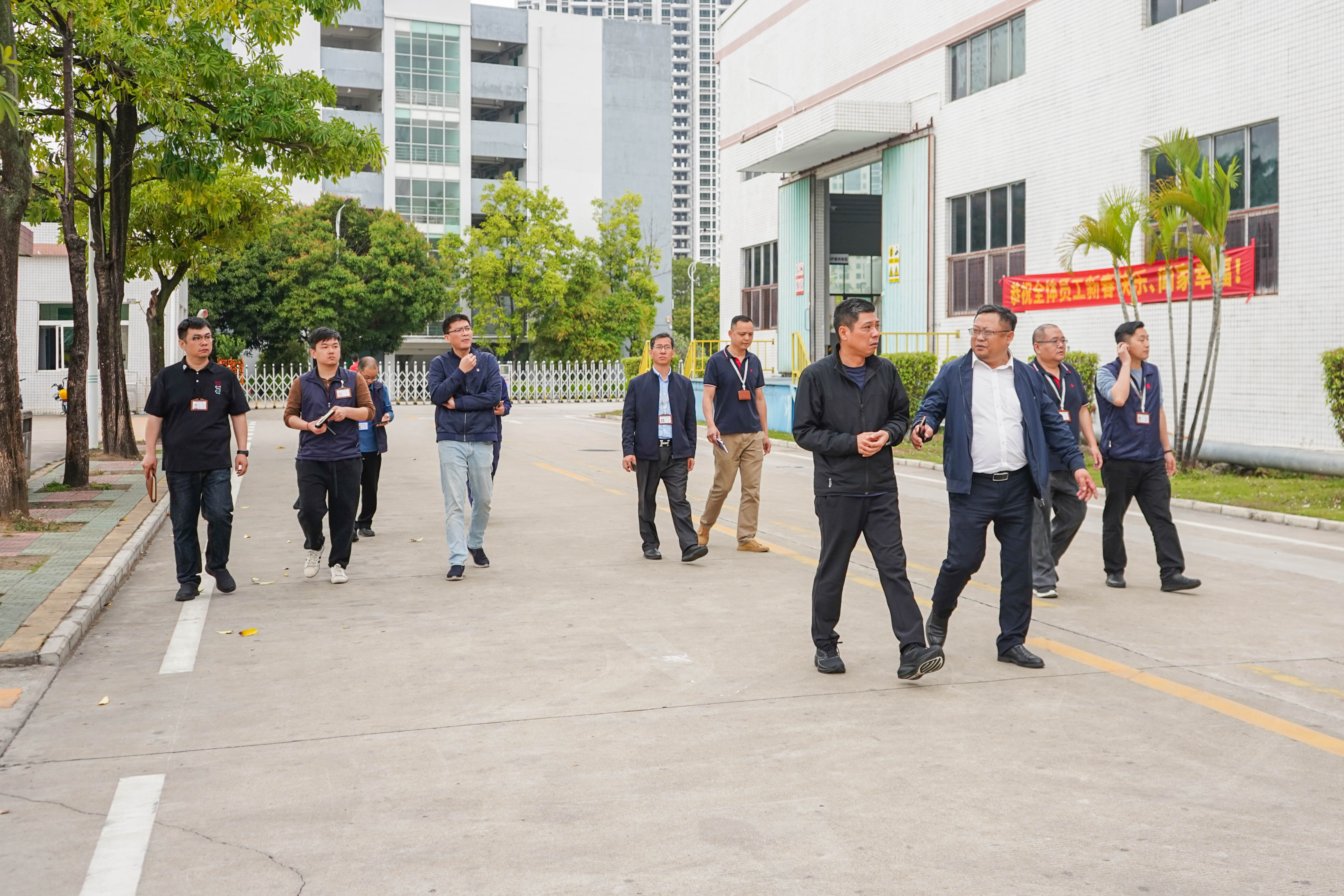 新澳金龙资料大全