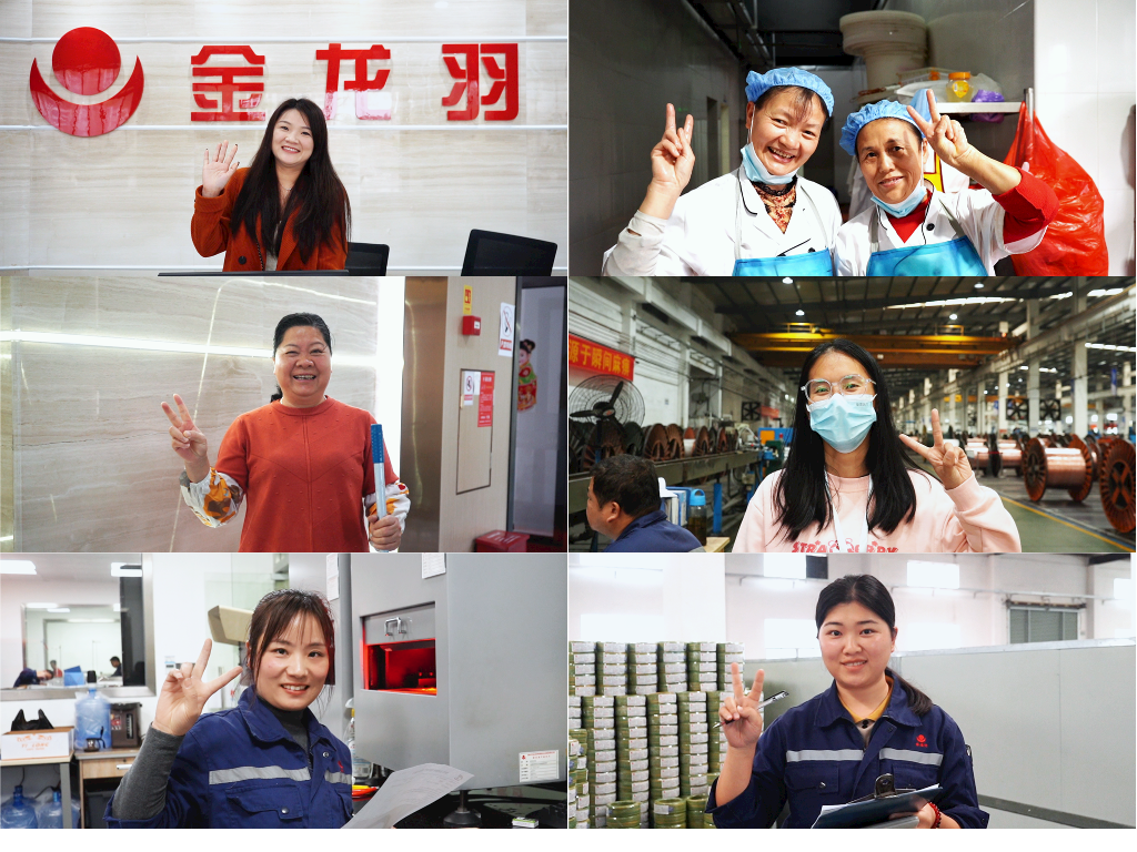 新澳金龙资料大全