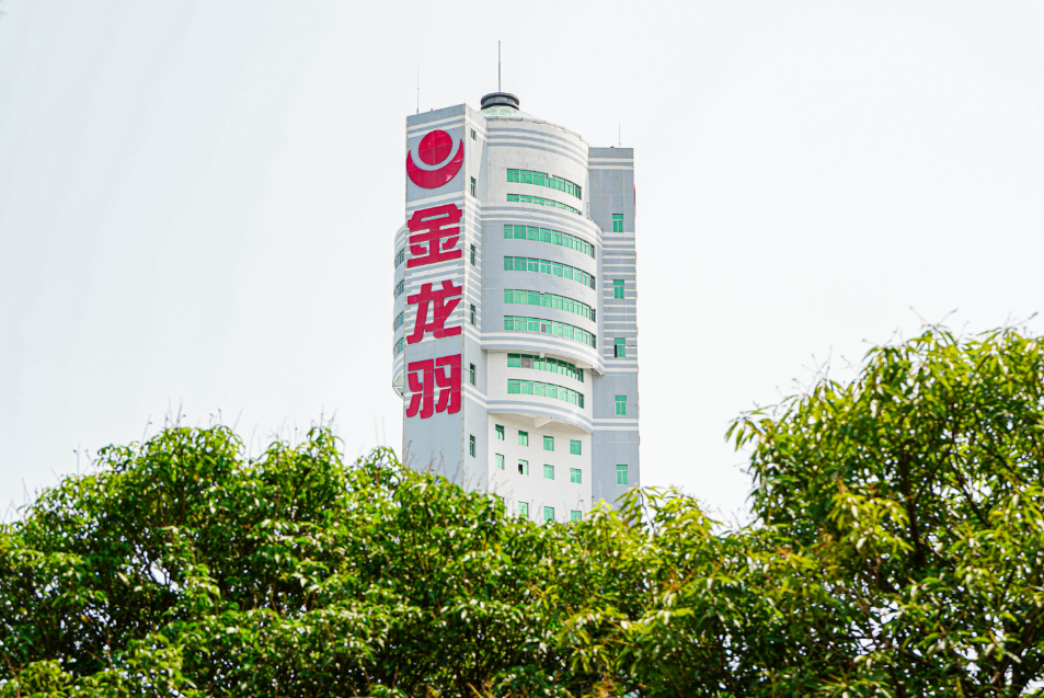 新澳金龙资料大全