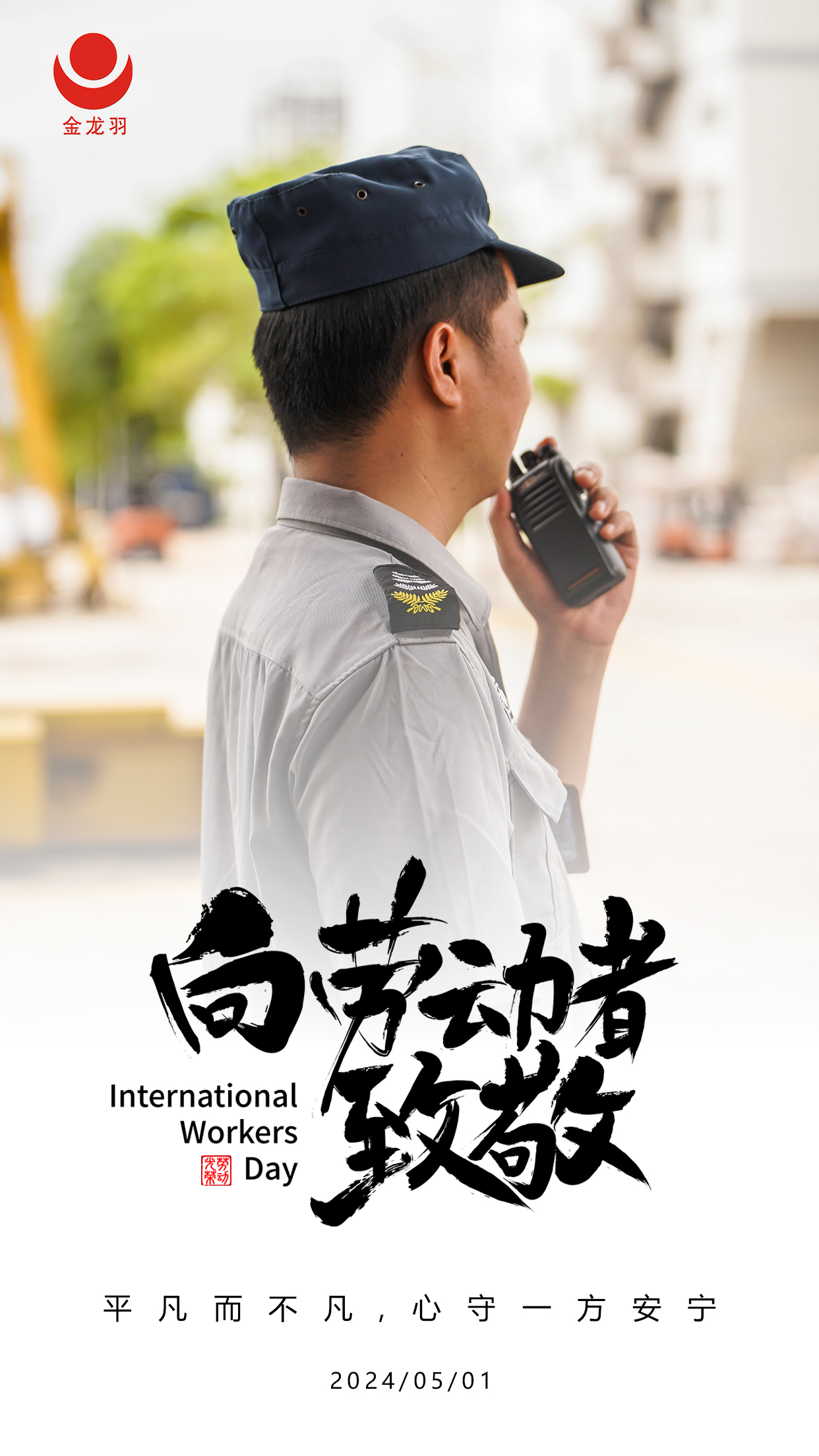 新澳金龙资料大全