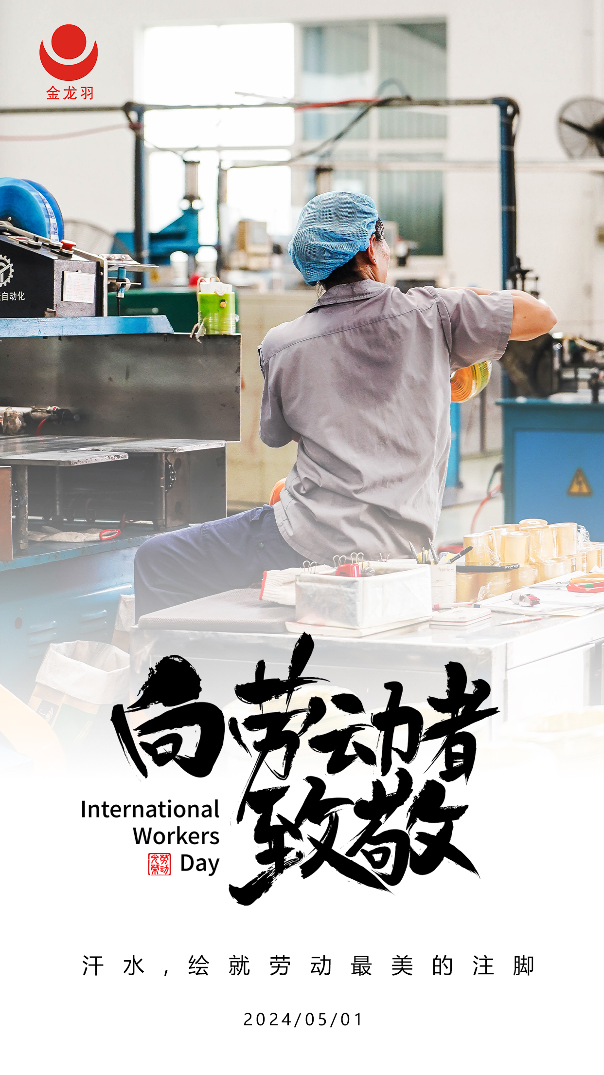 新澳金龙资料大全