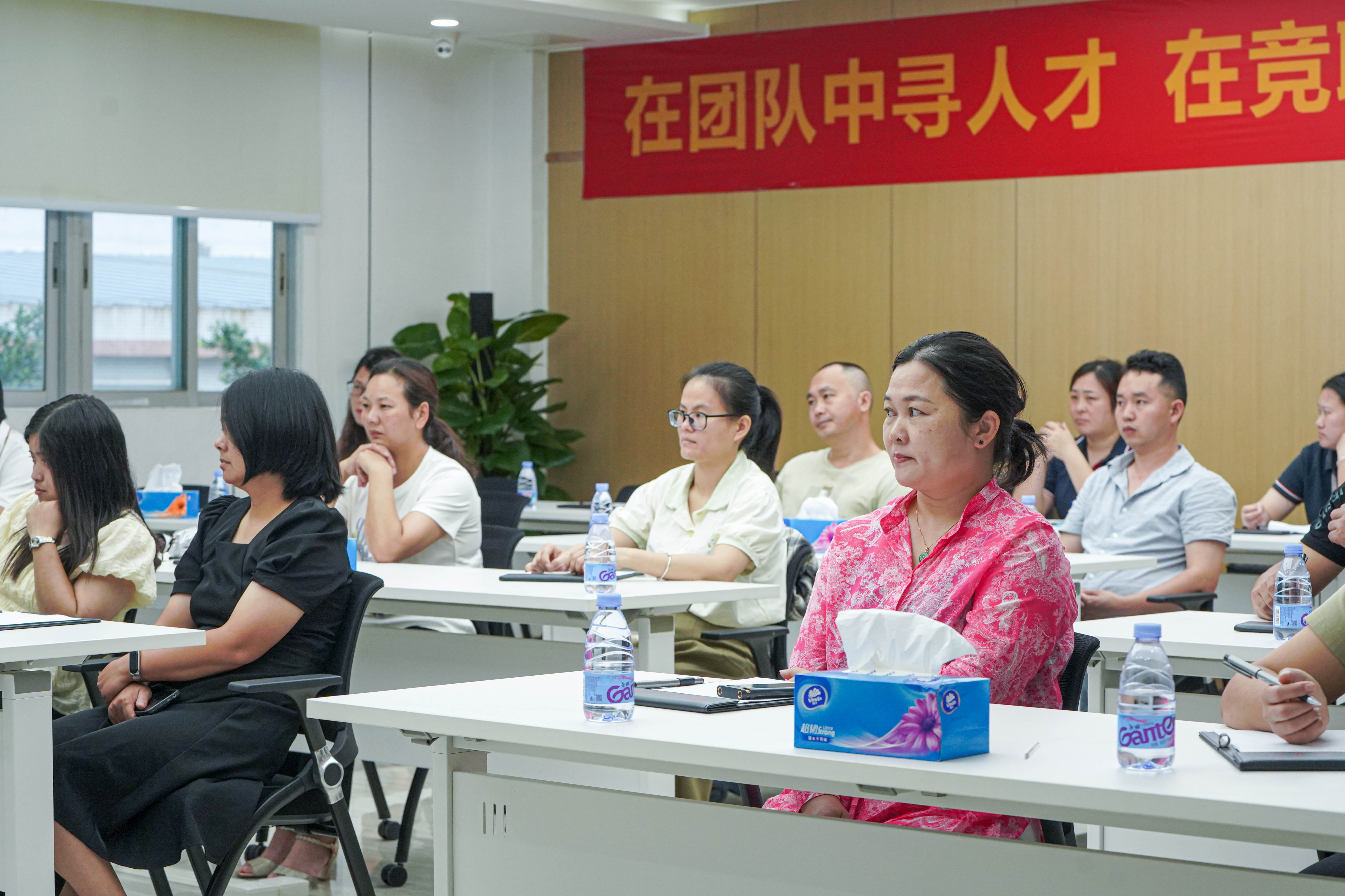 新澳金龙资料大全