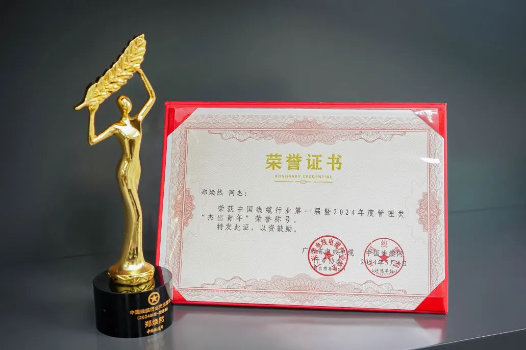 新澳金龙资料大全