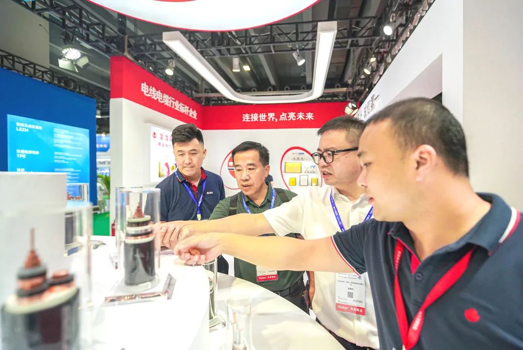 新澳金龙资料大全