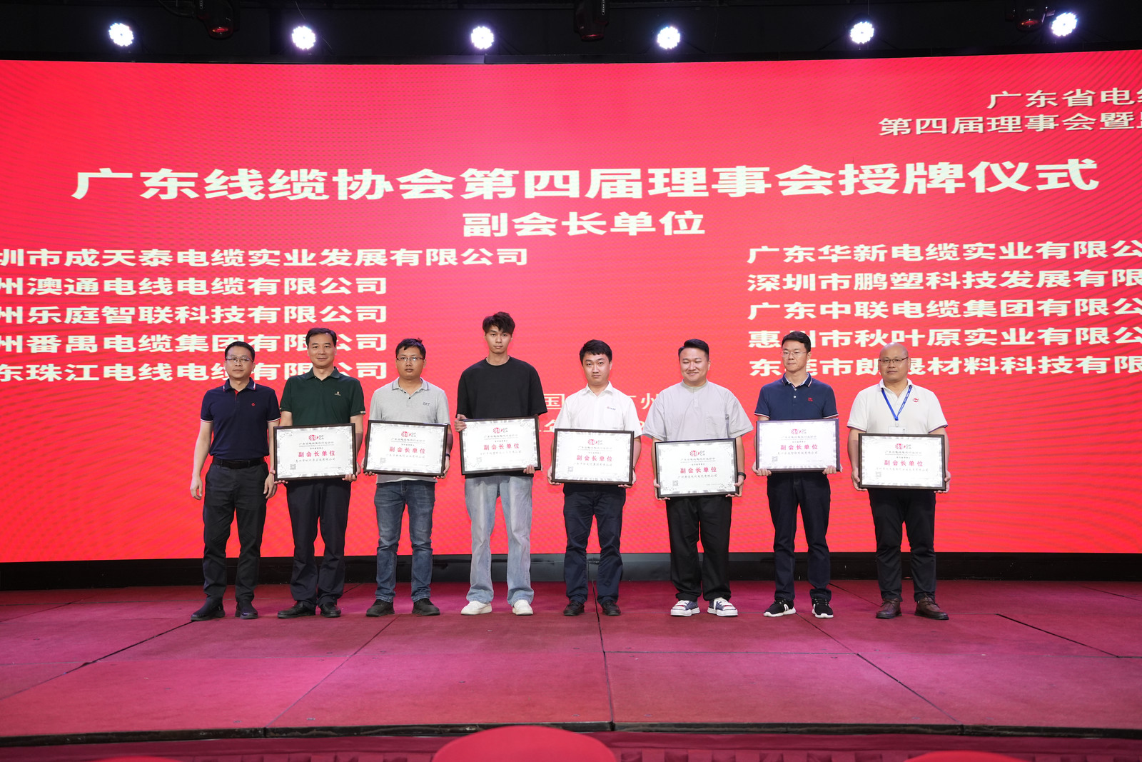 新澳金龙资料大全