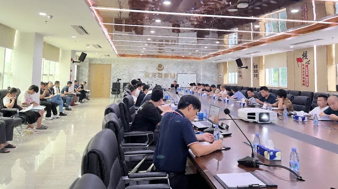 新澳金龙资料大全