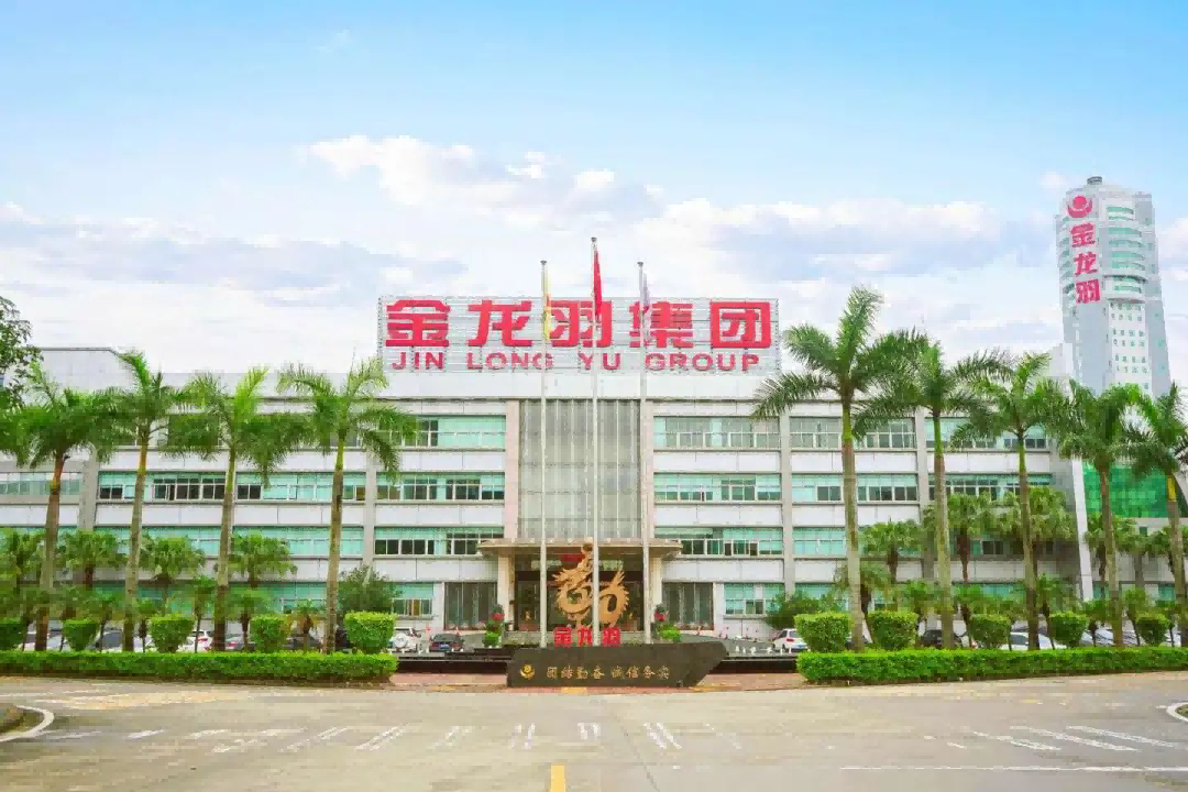 新澳金龙资料大全