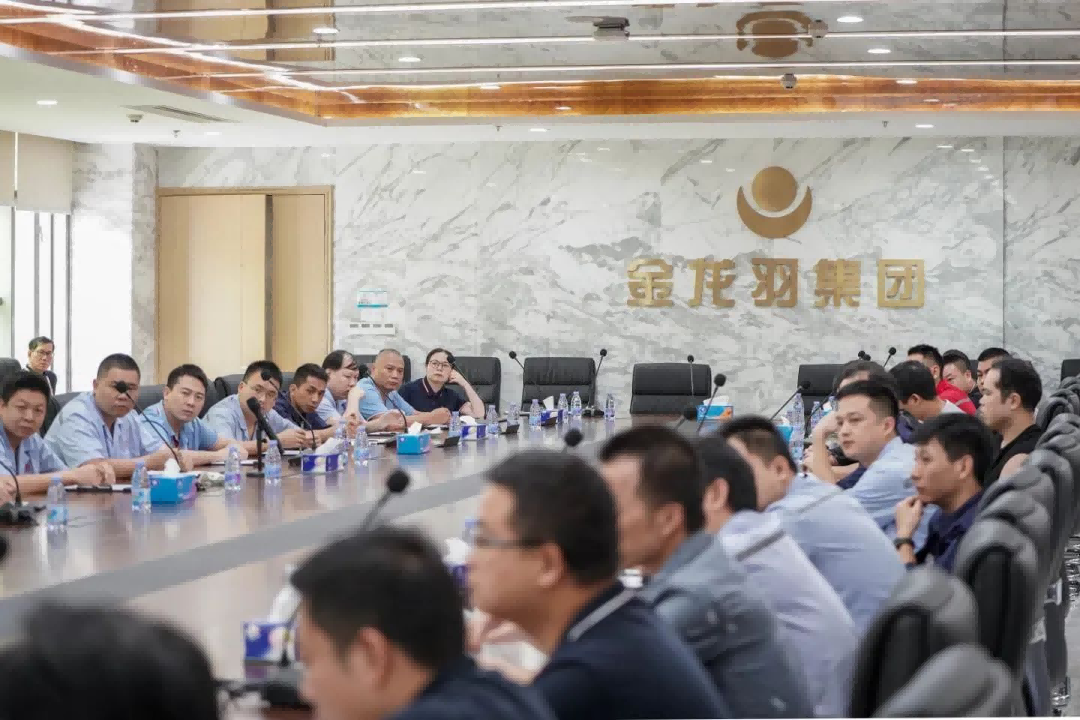 新澳金龙资料大全