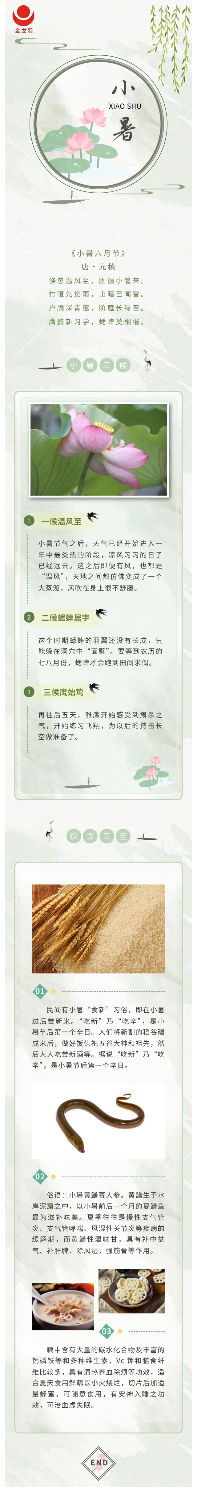 新澳金龙资料大全
