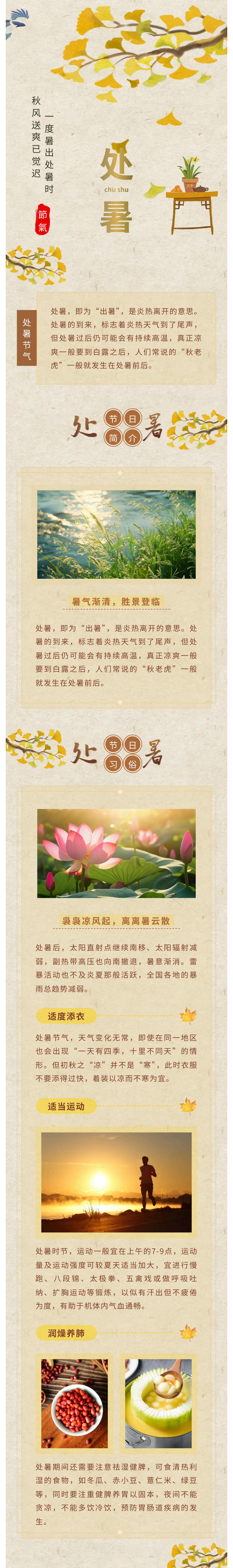 新澳金龙资料大全