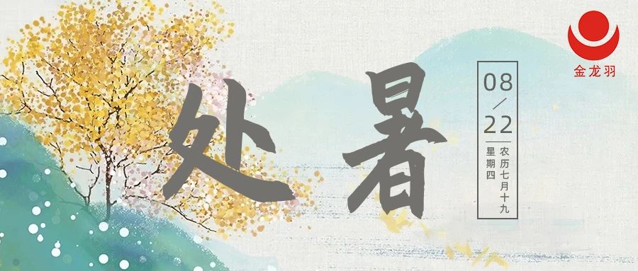 处暑 I 一场秋雨，一场寒