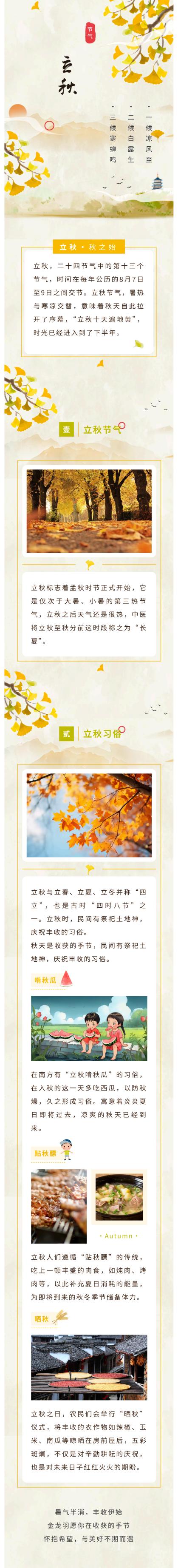 新澳金龙资料大全