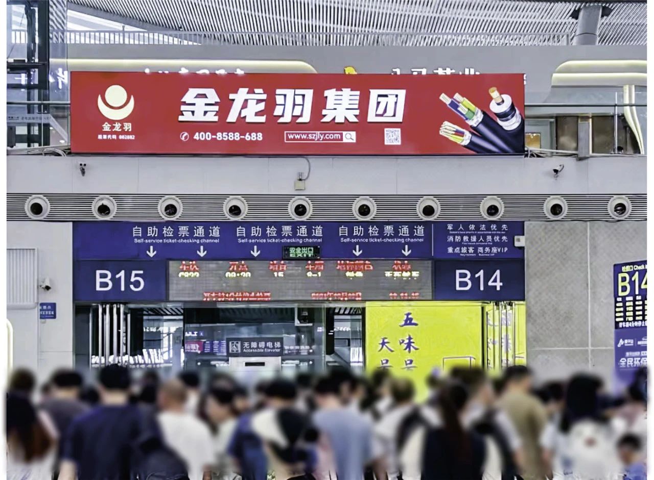新澳金龙资料大全