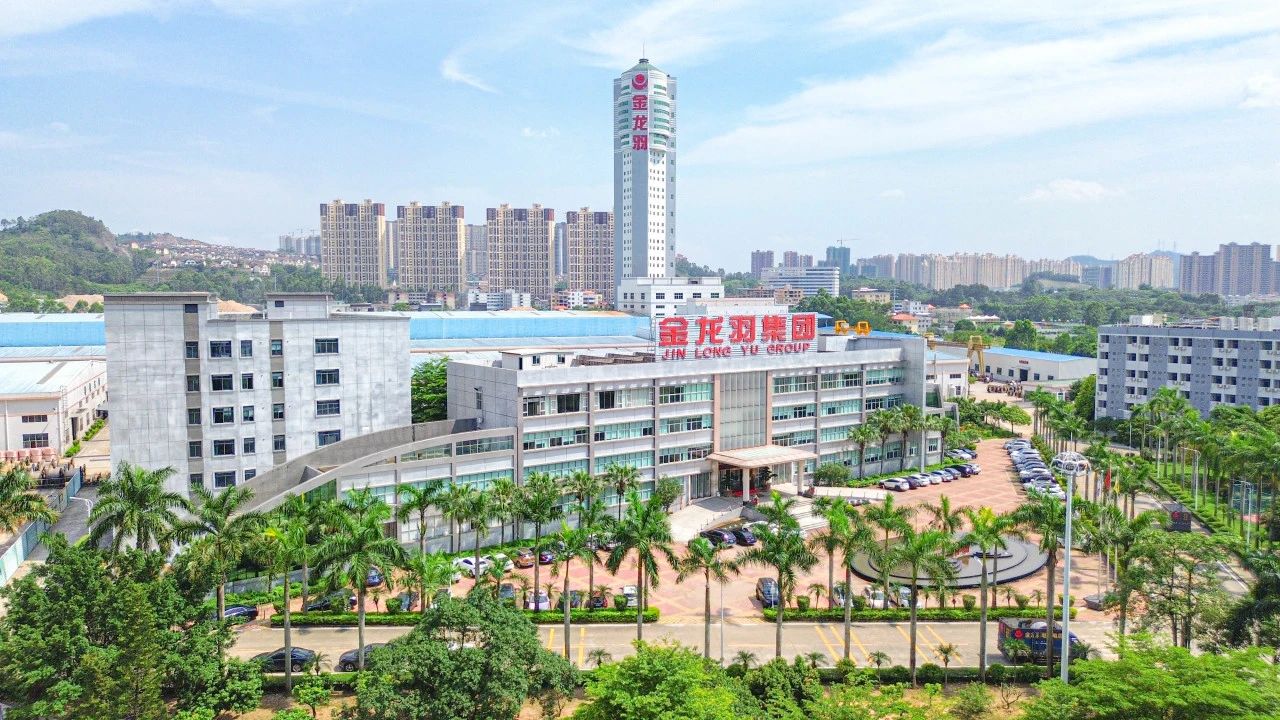 新澳金龙资料大全