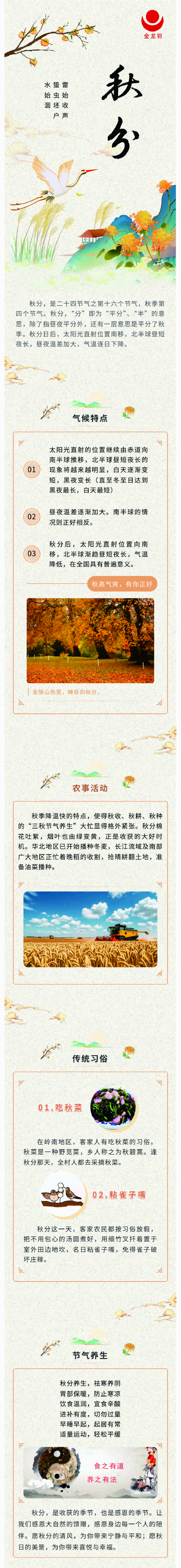 新澳金龙资料大全