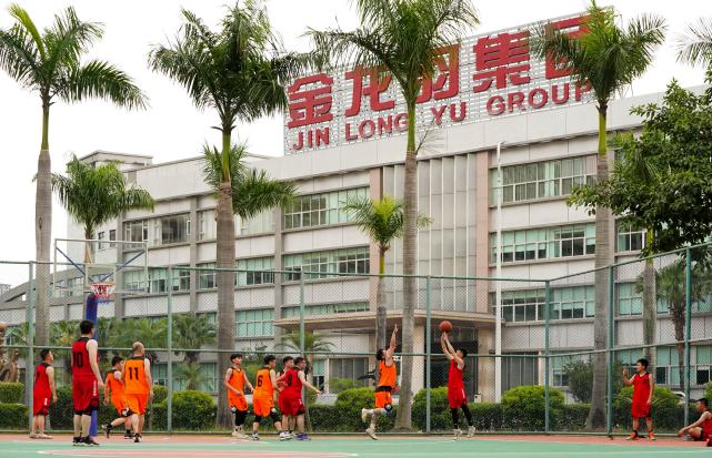 新澳金龙资料大全