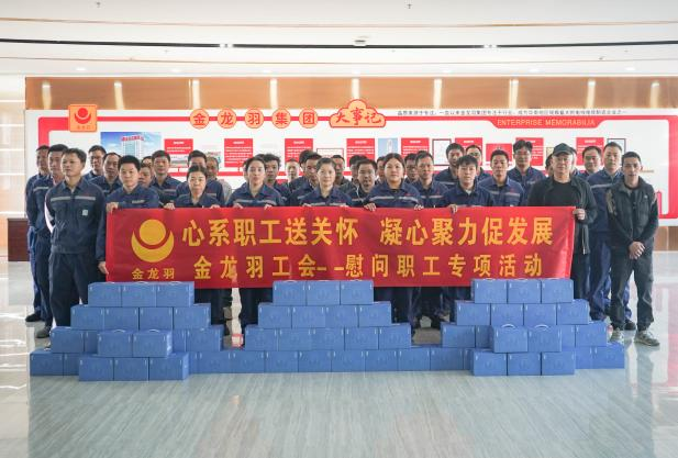 新澳金龙资料大全