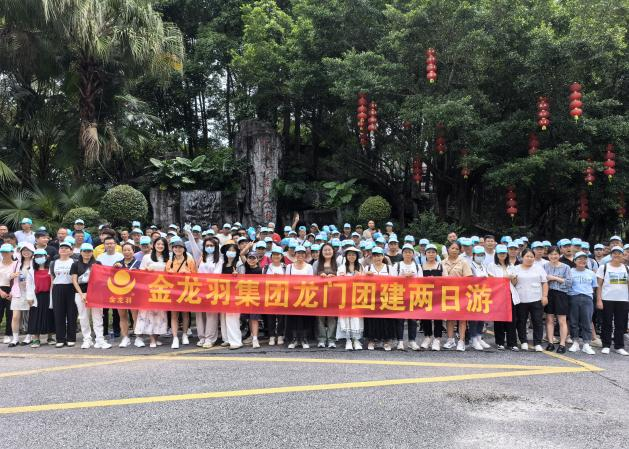 新澳金龙资料大全
