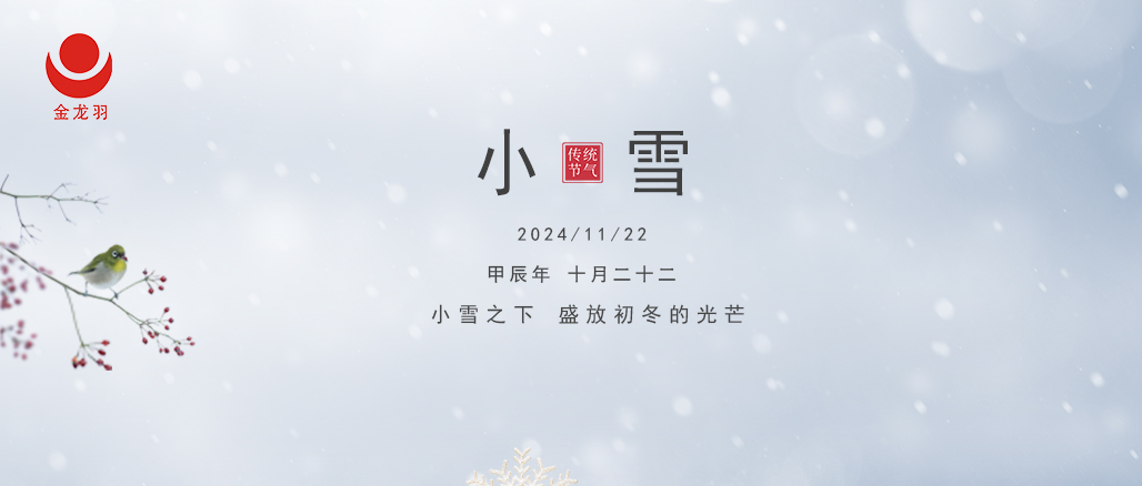 小雪至，寒未深 —— 金龙羽电线电缆与你温暖相伴