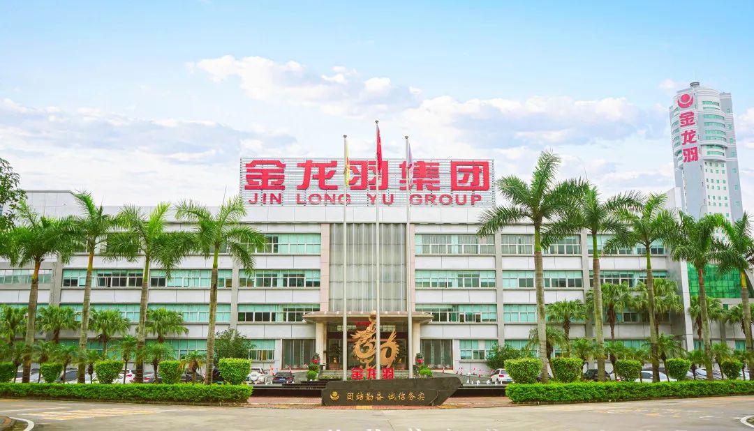 新澳金龙资料大全