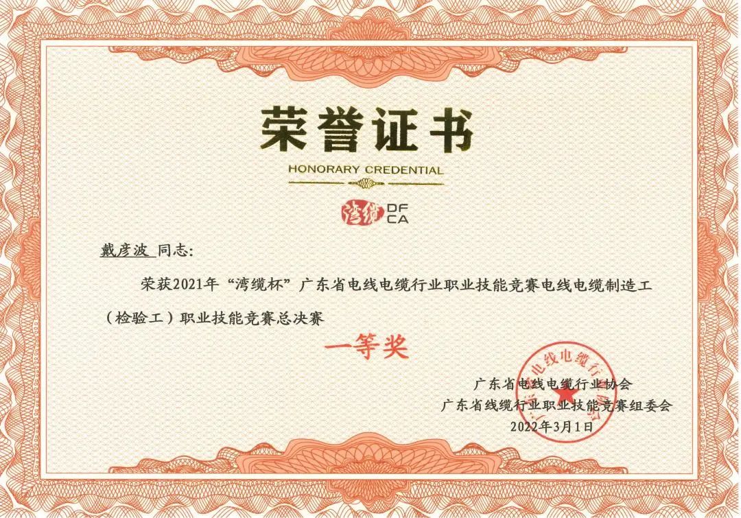 新澳金龙资料大全