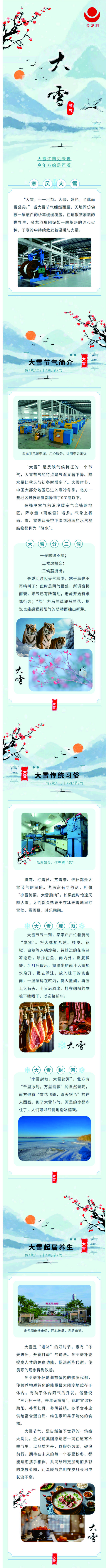 新澳金龙资料大全
