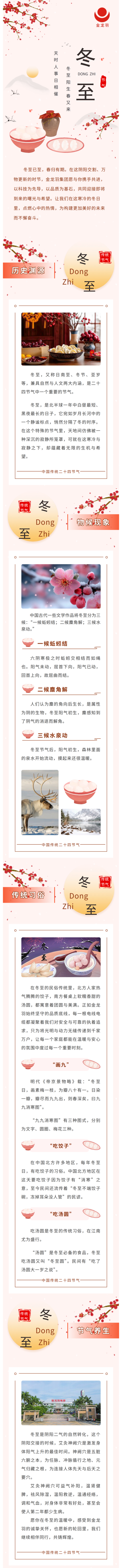新澳金龙资料大全