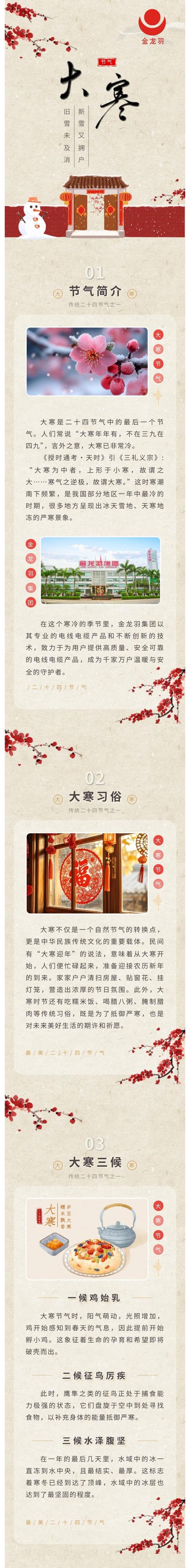 新澳金龙资料大全