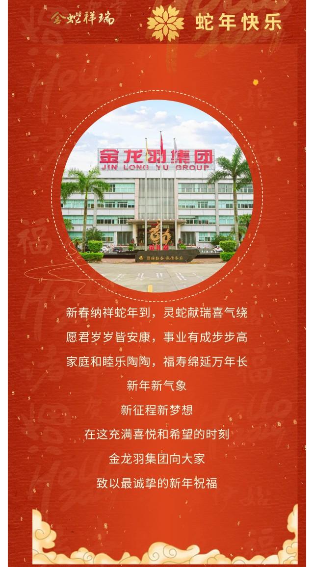 新澳金龙资料大全