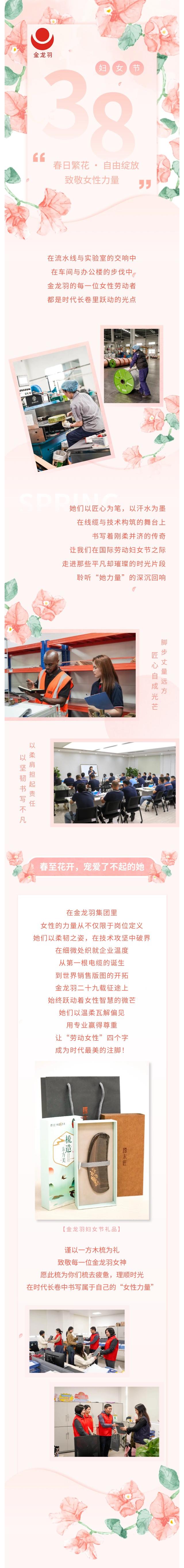 新澳金龙资料大全