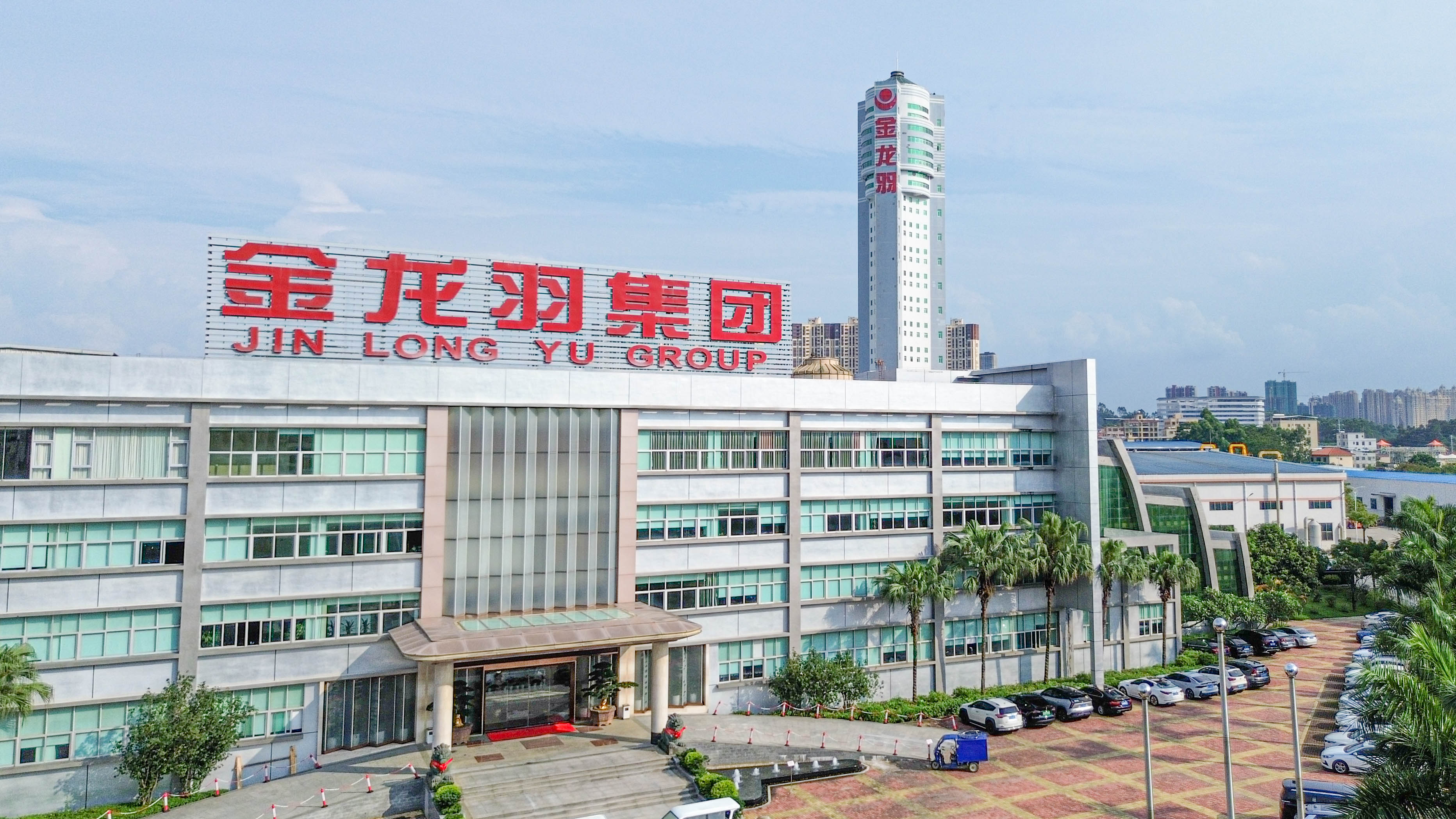 新澳金龙资料大全