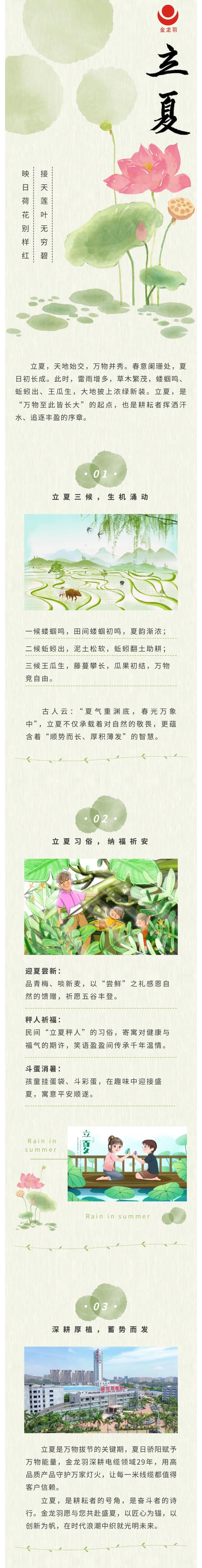 新澳金龙资料大全